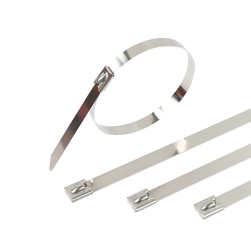 Stainless Steel Self Locking Cable Ties